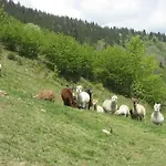شاليه Les Bruyeres Wi Fi