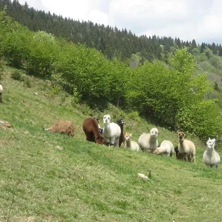 Chalet Les Bruyeres Wi Fi