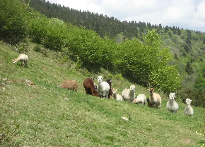 Horská chata Les Bruyeres Wi Fi