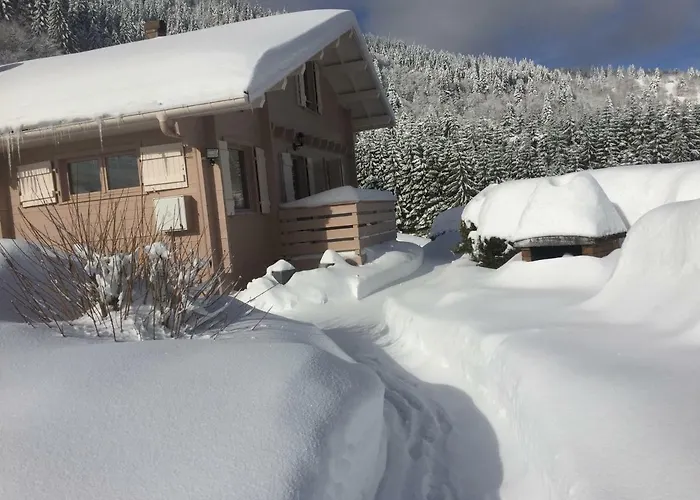 Les Bruyeres Wi Fi *